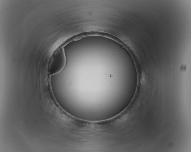 X0000112490877200908241323