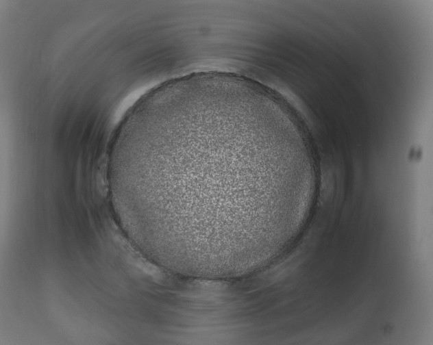 X0000112490878200908241323