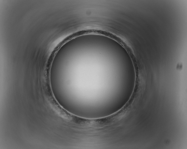 X0000112490879200908241323