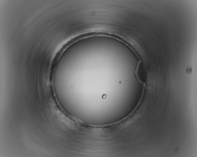 X0000112490880200908241323