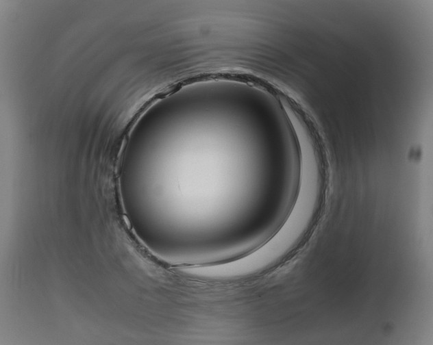 X0000112490881200908241323