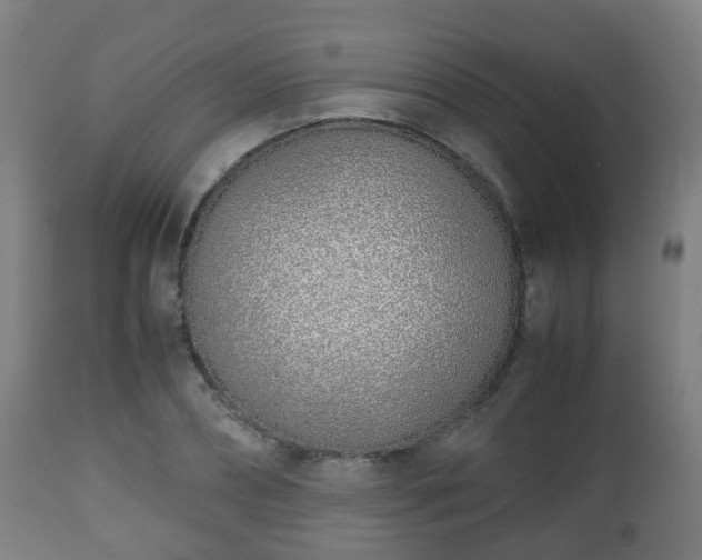 X0000112490882200908241323