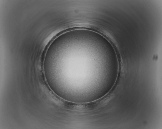 X0000112490883200908241323