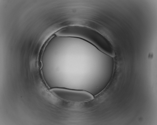 X0000112490884200908241323