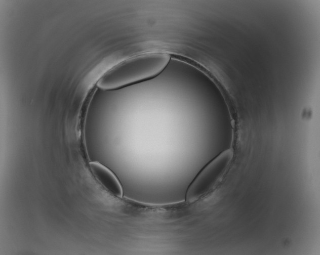 X0000112490885200908241323