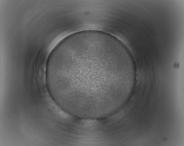 X0000112490886200908241323