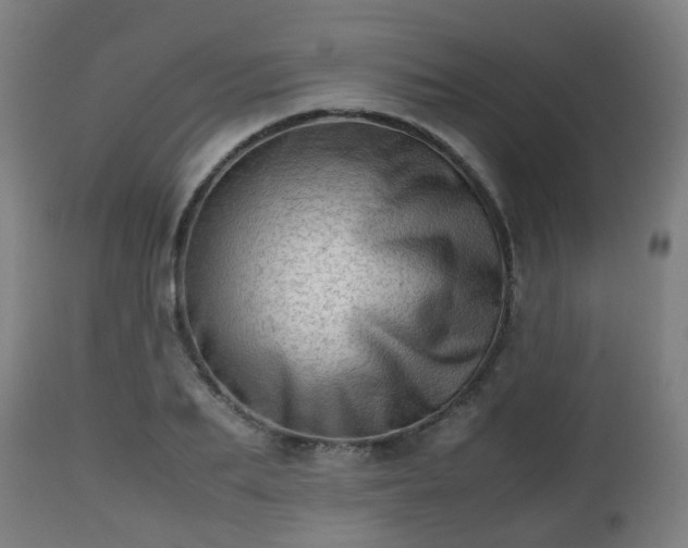 X0000112490887200908241323