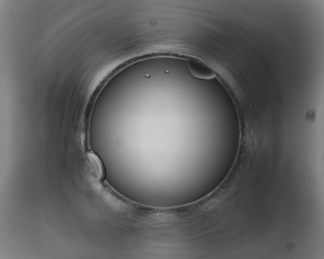 X0000112490888200908241323