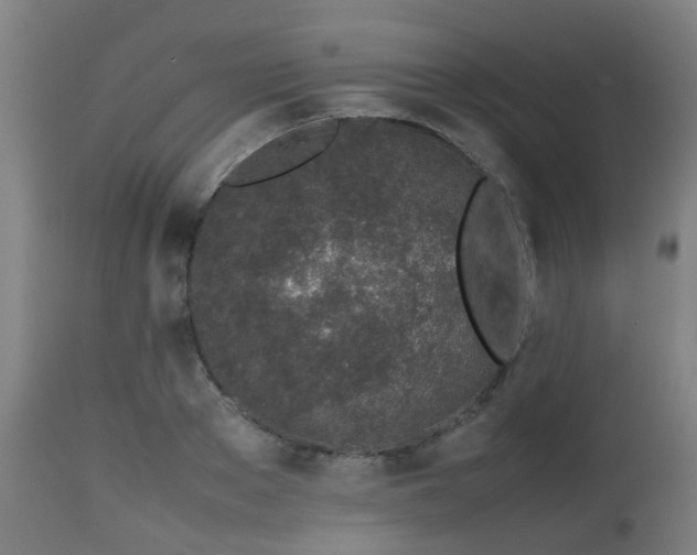 X0000112490889200908241323