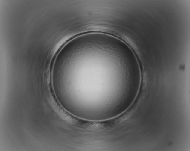 X0000112490891200908241323