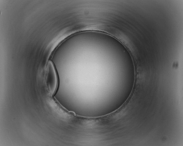 X0000112490892200908241323