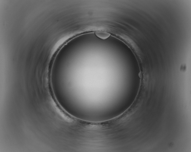 X0000112490894200908241323