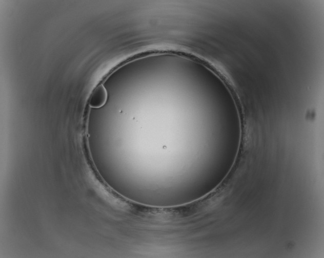 X0000112490895200908241323