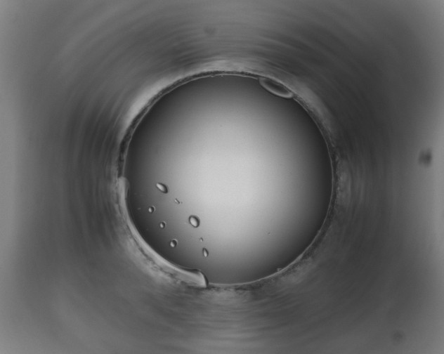 X0000112490896200908241323