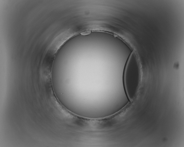 X0000112490897200908241323