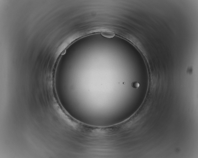 X0000112490898200908241323