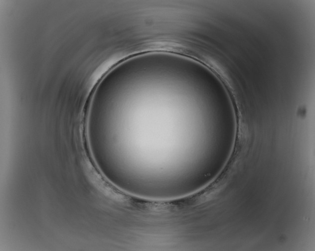 X0000112490899200908241323