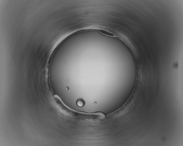 X0000112490900200908241323