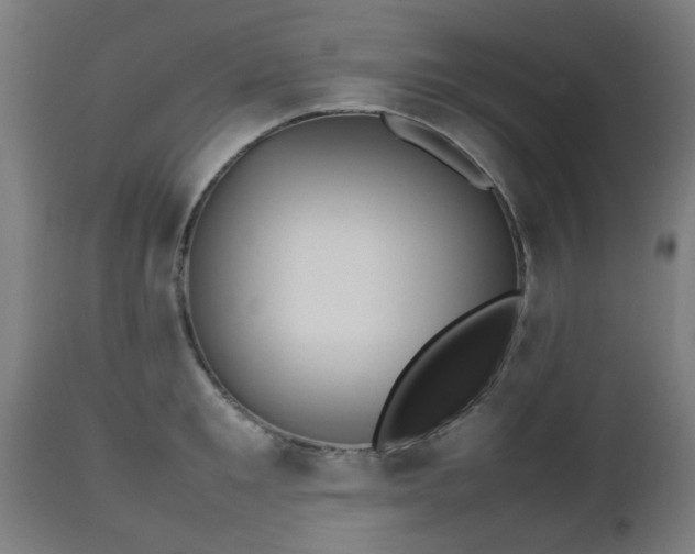 X0000112490901200908241323