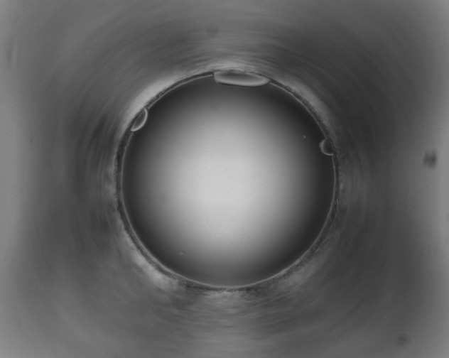 X0000112490902200908241323