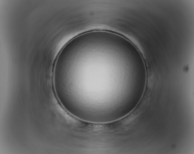 X0000112490903200908241323