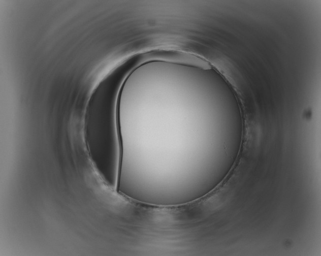 X0000112490904200908241323