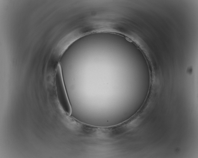 X0000112490905200908241323