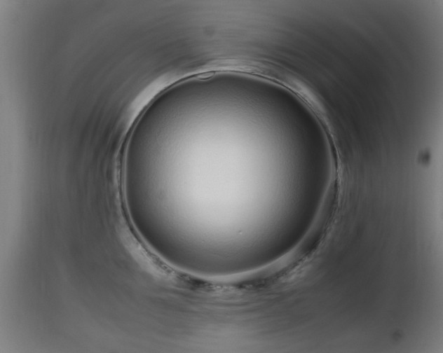 X0000112490907200908241323