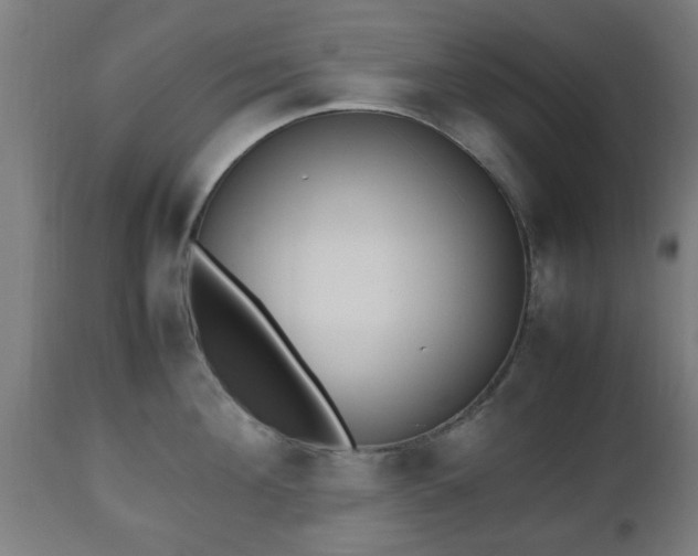 X0000112490908200908241323