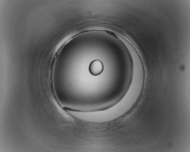 X0000112490909200908241323