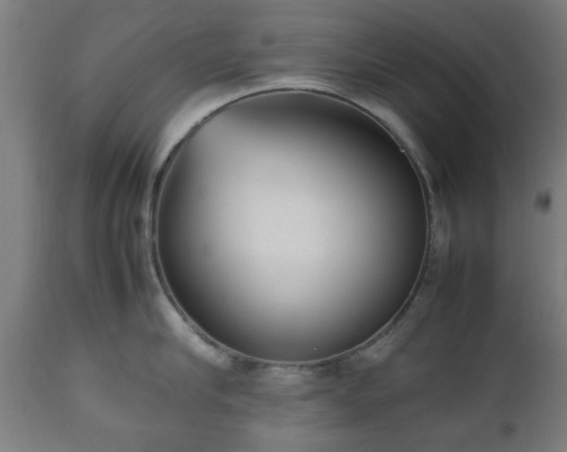 X0000112490910200908241323