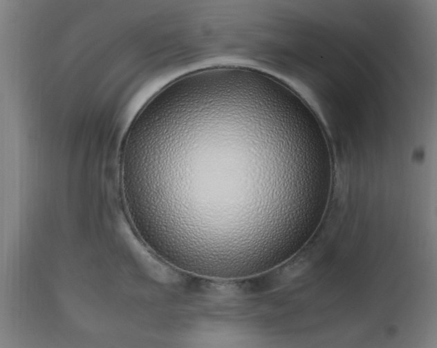 X0000112490911200908241323