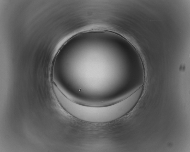 X0000112490912200908241322