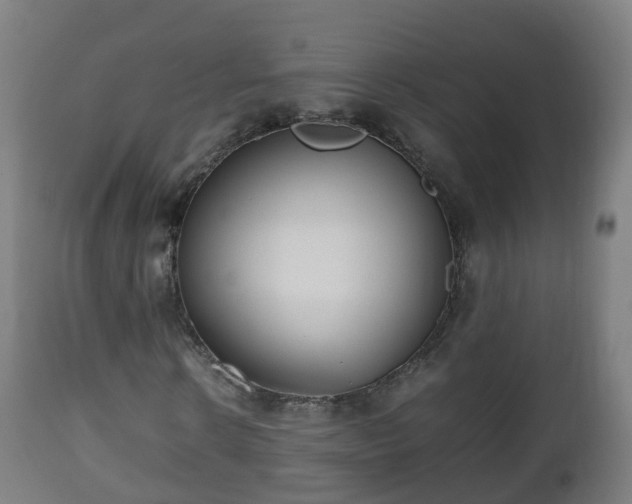 X0000112490914200908241322