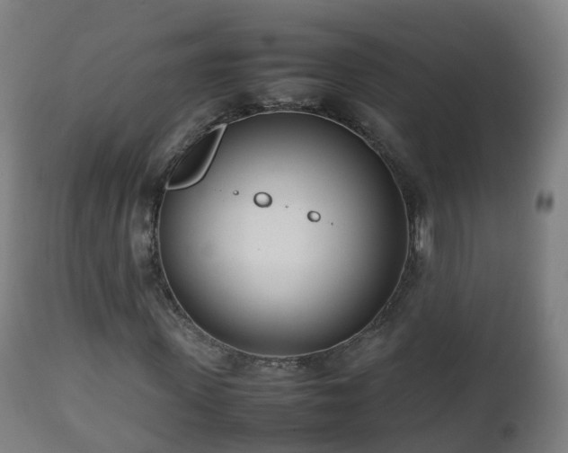 X0000112490915200908241322