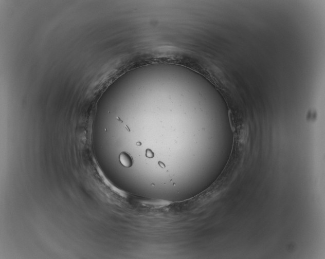 X0000112490916200908241322