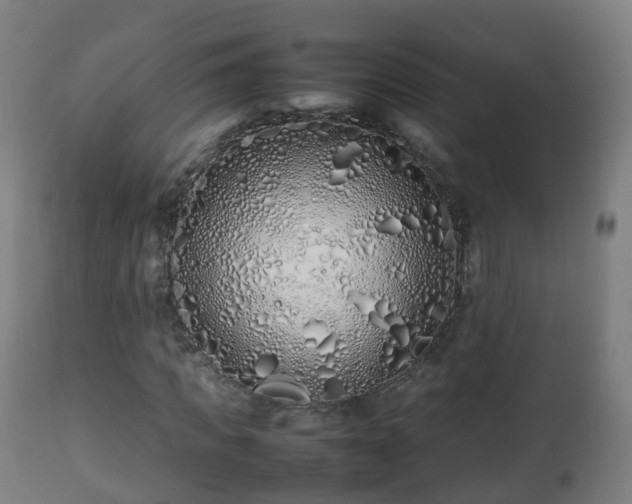 X0000112490917200908241322