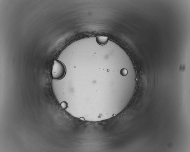 X0000112490918200908241322