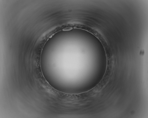 X0000112490919200908241322