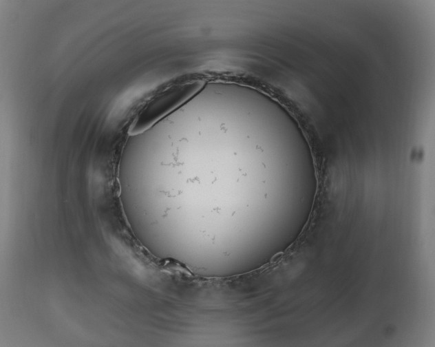 X0000112490920200908241322