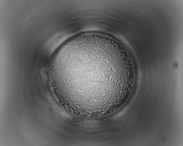 X0000112490921200908241322