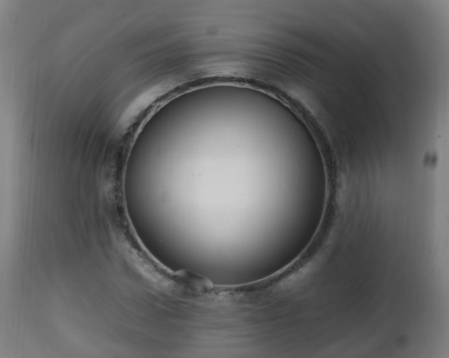 X0000112490922200908241322