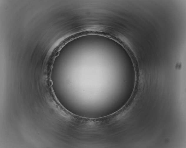 X0000112490923200908241322