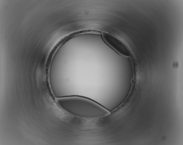 X0000112490924200908241322