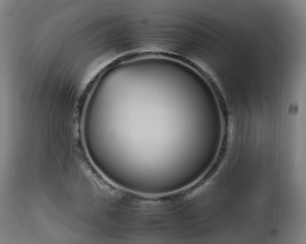 X0000112490925200908241322