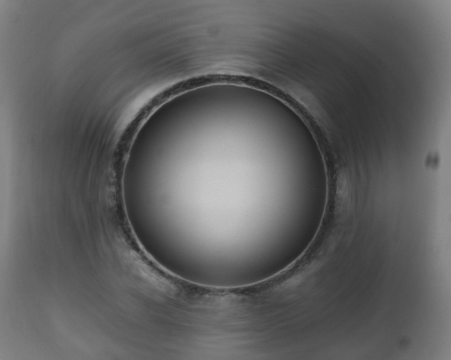 X0000112490926200908241322