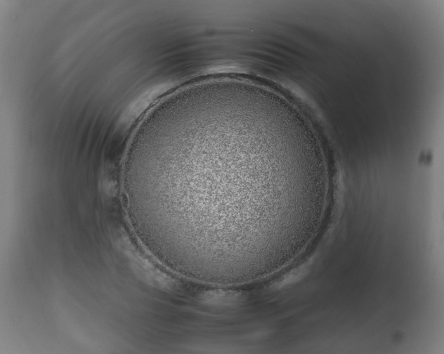 X0000112490929200908241322