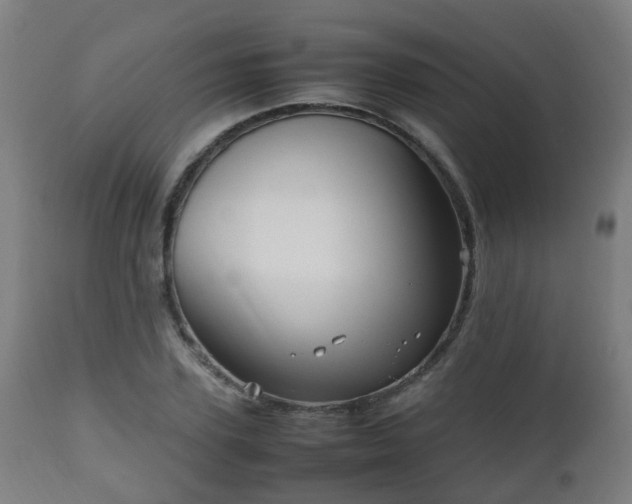 X0000112490931200908241322