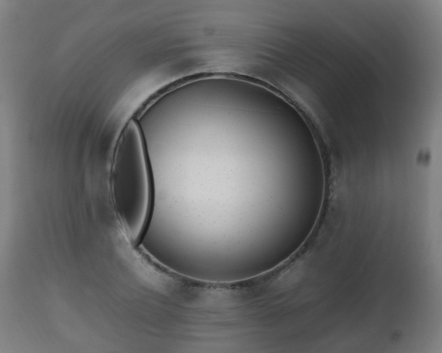 X0000112490932200908241322