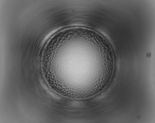 X0000112490933200908241322